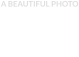 A BEAUTIFUL PHOTO